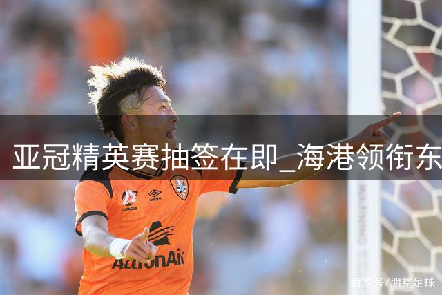 亚冠精英赛抽签在即 海港领衔东亚首档 国安分列第三档